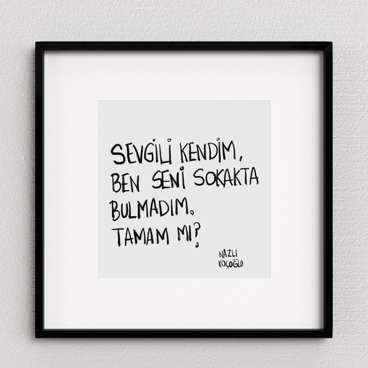 Sevgili Kendim Ben Seni Sokakta Bulmadım
