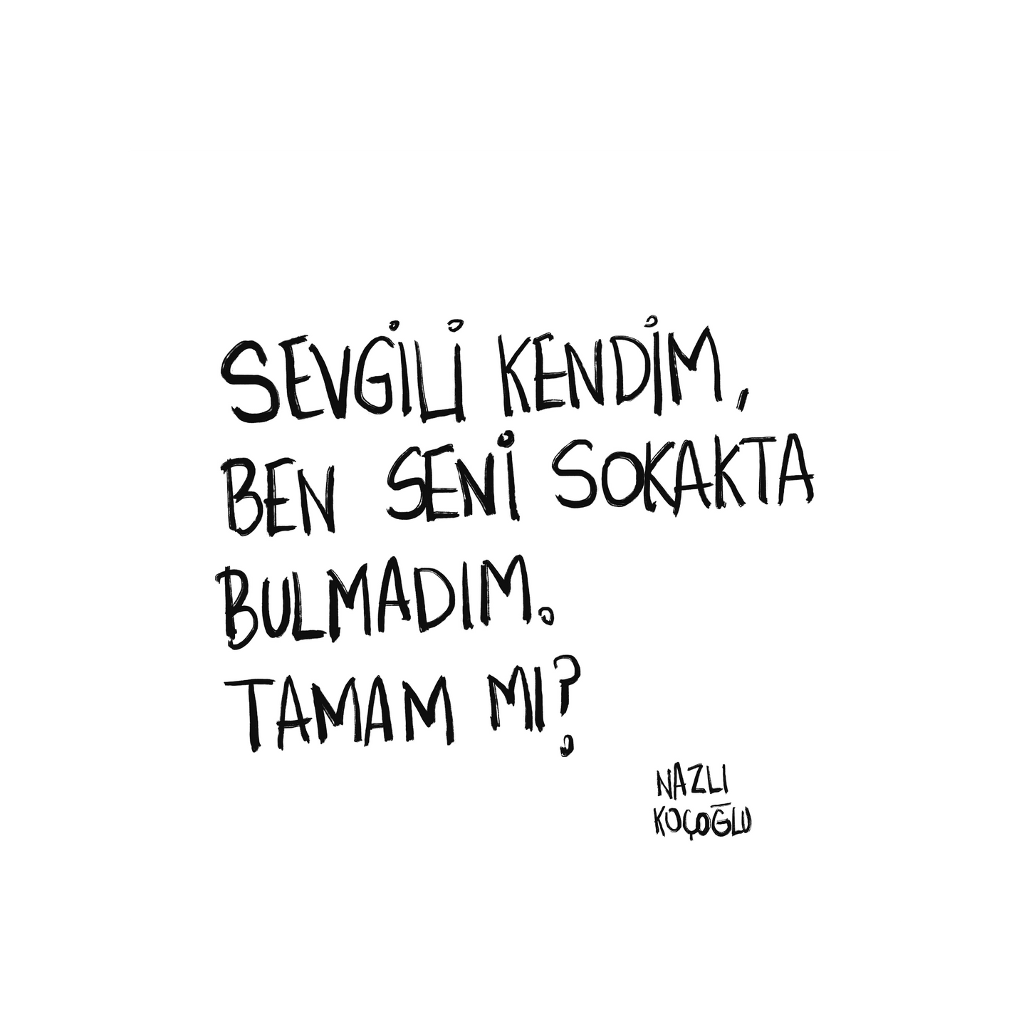 Sevgili Kendim Ben Seni Sokakta Bulmadım