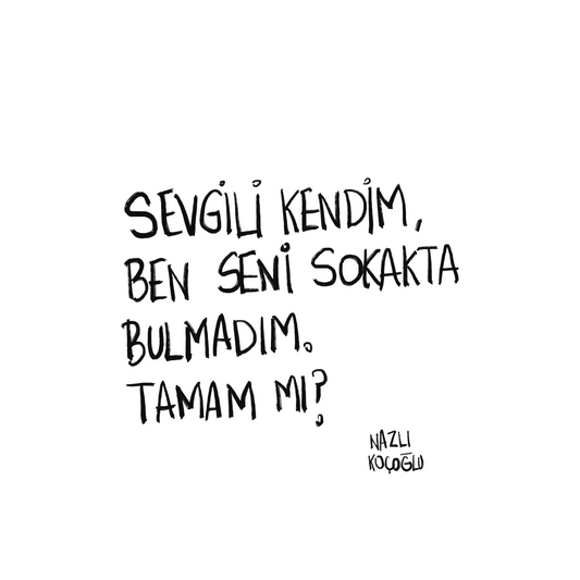 Sevgili Kendim Ben Seni Sokakta Bulmadım