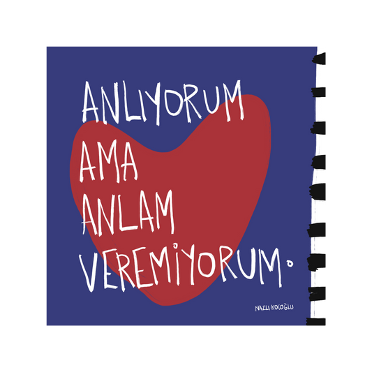 Anlıyorum Ama Anlam Veremiyorum