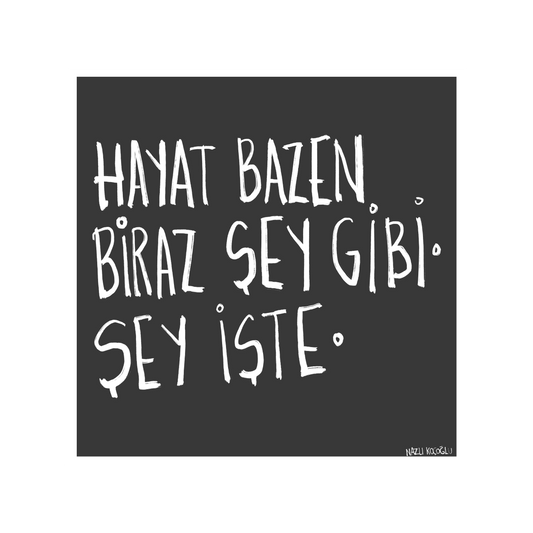 Hayat Bazen Biraz Şey Gibi