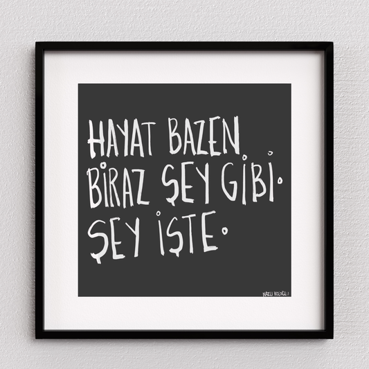 Hayat Bazen Biraz Şey Gibi