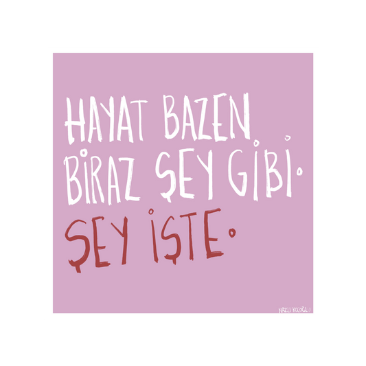 Hayat Bazen Biraz Şey Gibi